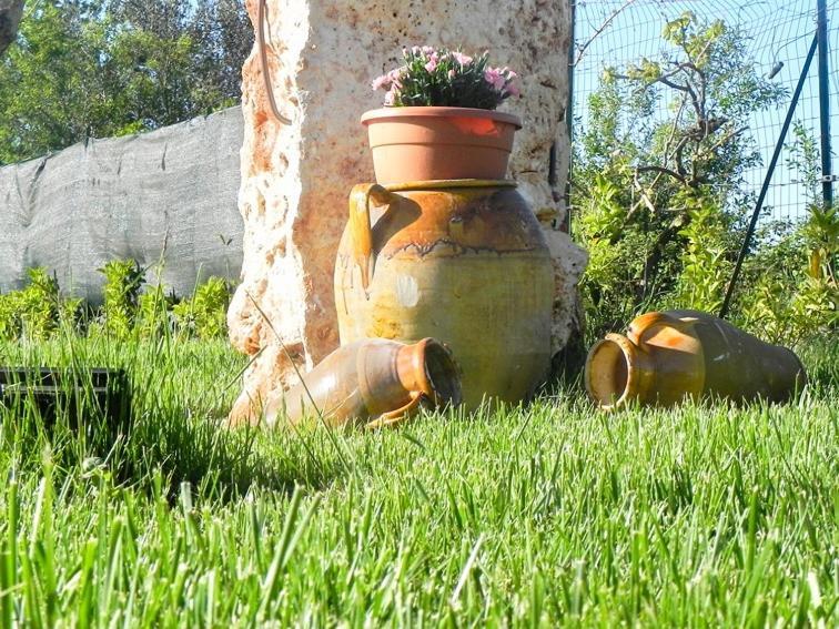 Resort Pietra Bianca نوتشي المظهر الخارجي الصورة